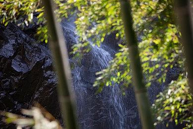 《暗黑破坏神2：重制版》开服首日封禁36个违规账号