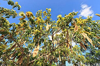 《圣战群英传：解放》中文玩法宣传片 6月17日开启封闭测试